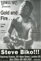 Poster: Gold and Fire - Steve Biko