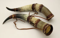 A pair of decorative cow horns 