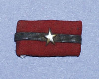 Japenese soldier's shoulder badge