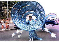 Photocopy of photograph : Sky at Night