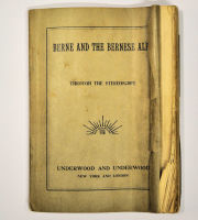 'Berne and the Bernese Alps through the  Stereoscope' book