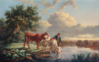 Cattle drinking at a river's edge