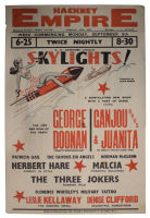 Poster - Skylights