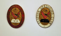 Enamel badges